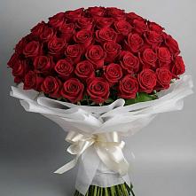 Букет 101 Красная роза Блэк Мэджик #REPLACE_PRED# Уйское