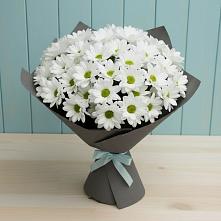 Букет цветов из:  Хризантемы #REPLACE_PRED# Уйское