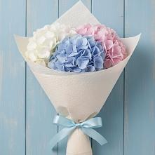 Букет цветов из:  Гортензия в Уйское