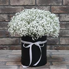 Цветочная композиция из Гипсофила в шляпной коробке #REPLACE_PRED# Уйское