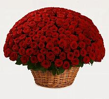 Премиум букет из: Розы #REPLACE_PRED# Уйское